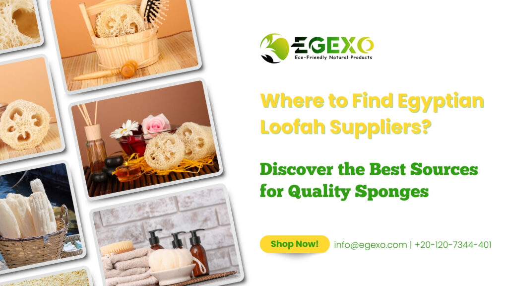 Where to Find Egyptian Loofah Suppliers: Discover the Best Sources for Quality Sponges