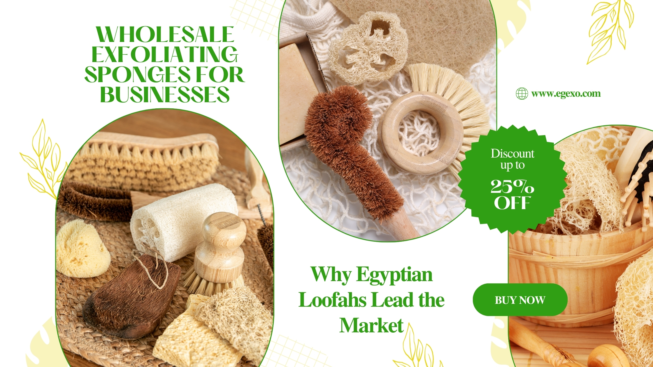 Wholesale Exfoliating Sponges for Businesses: Why Egyptian Loofahs Lead the Market