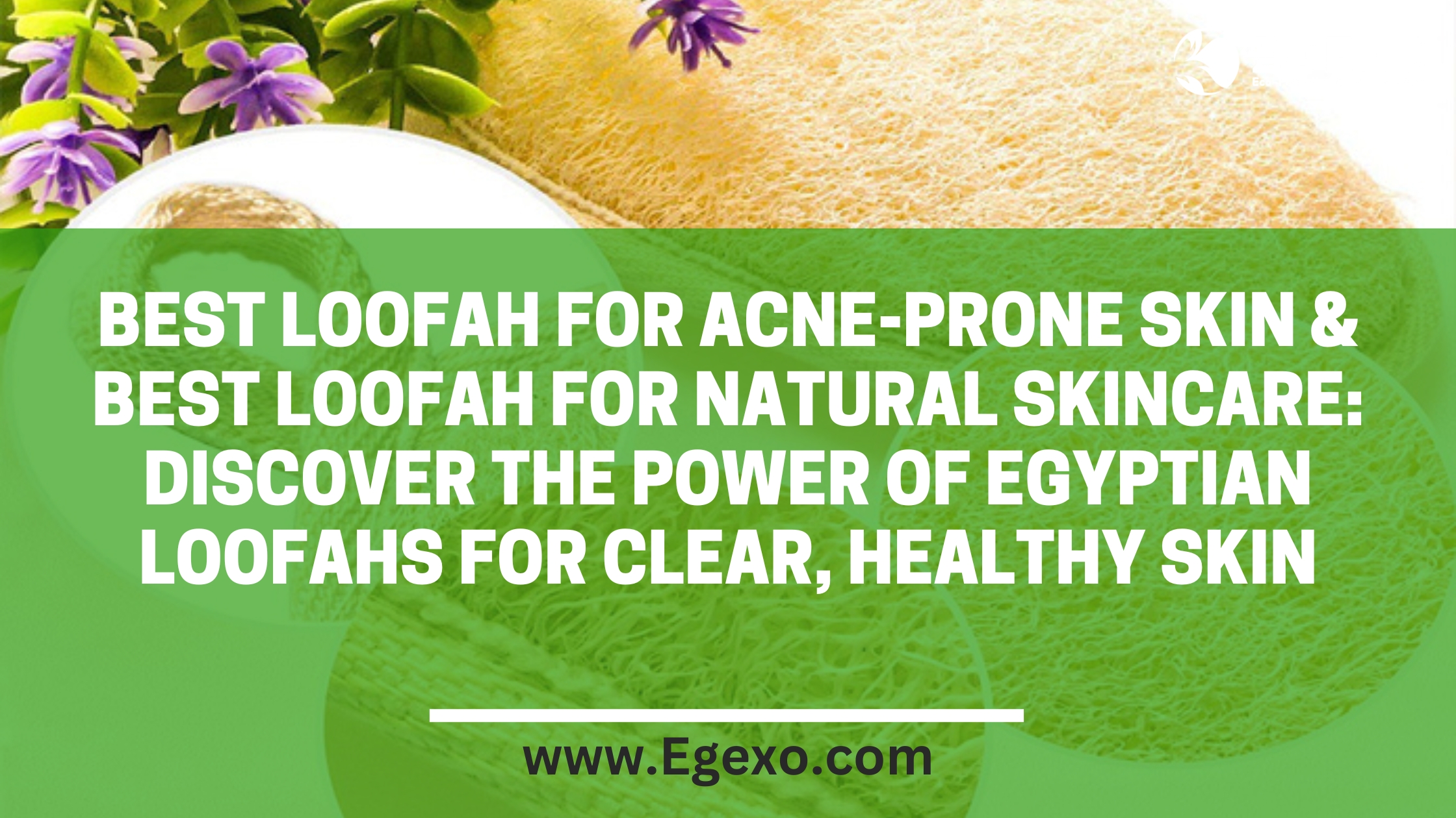 Best Loofah for Acne-Prone Skin & Best Loofah for Natural Skincare: Discover the Power of Egyptian Loofahs for Clear, Healthy Skin