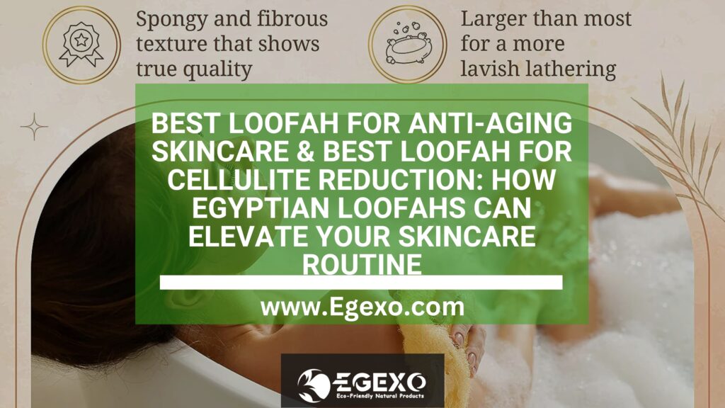 Best Loofah for Anti-Aging Skincare & Best Loofah for Cellulite Reduction: How Egyptian Loofahs Can Elevate Your Skincare Routine