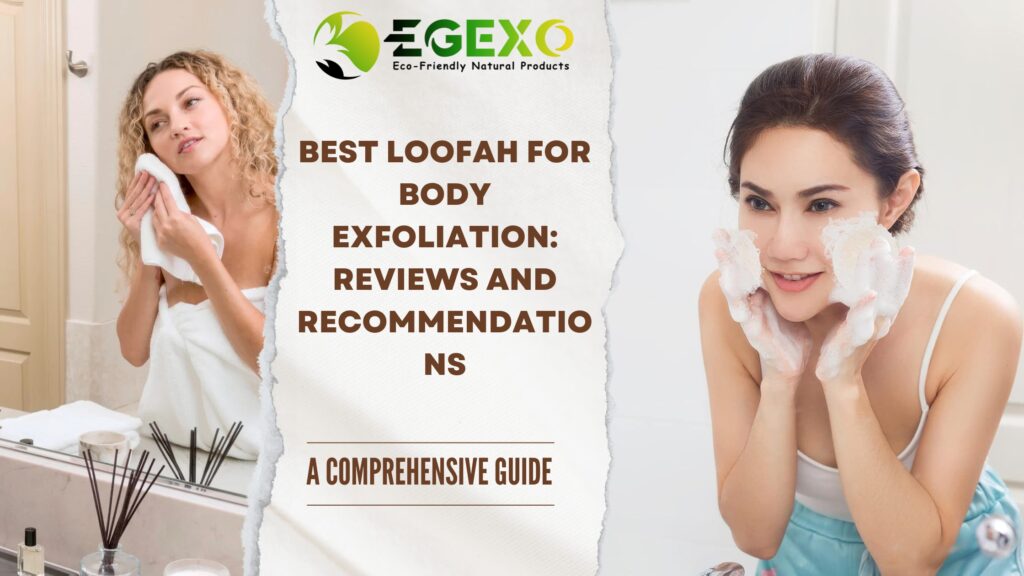 Best Loofah for Body Exfoliation: Reviews and Recommendations