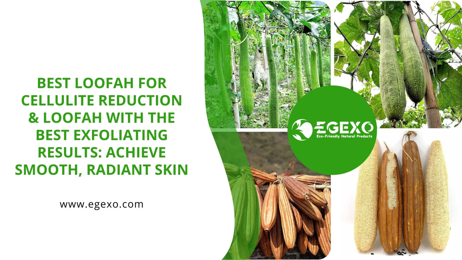 Best Loofah for Cellulite Reduction with Best Exfoliating Results