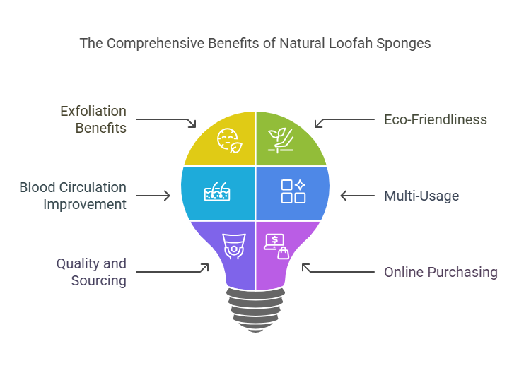 Natural Loofah Sponges for a Healthier Skin