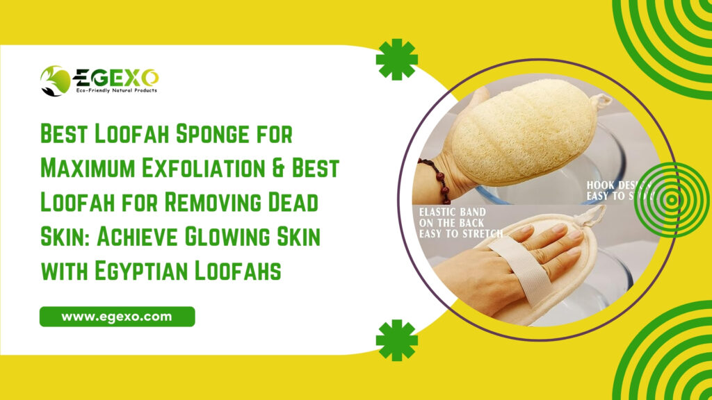 Loofah Sponge for Maximum Exfoliation