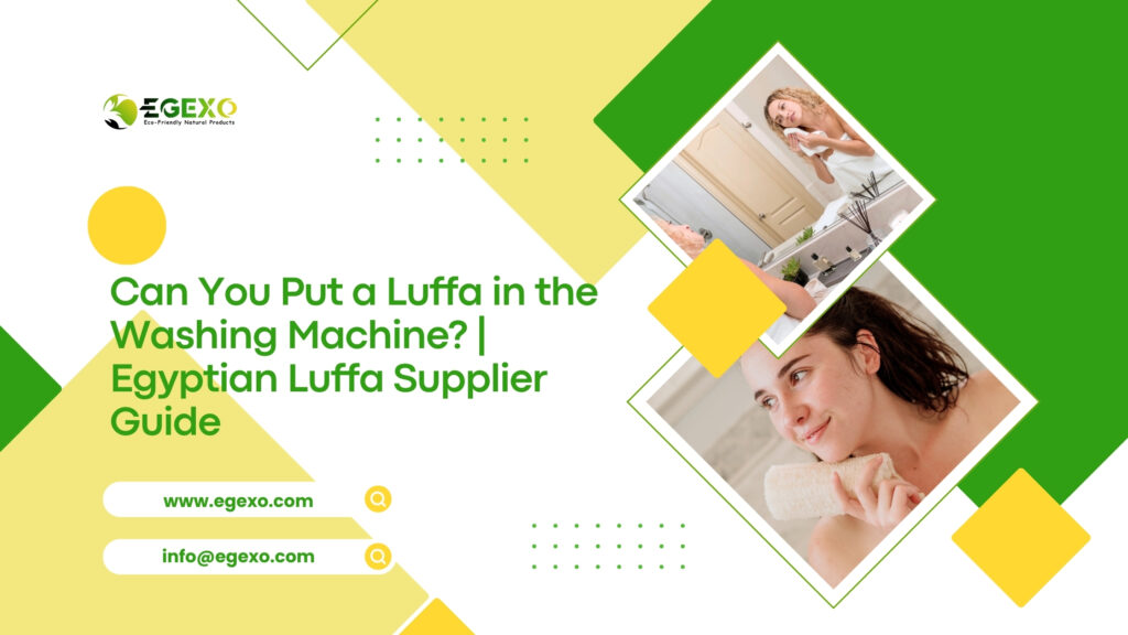 Can You Put a Luffa in the Washing Machine
