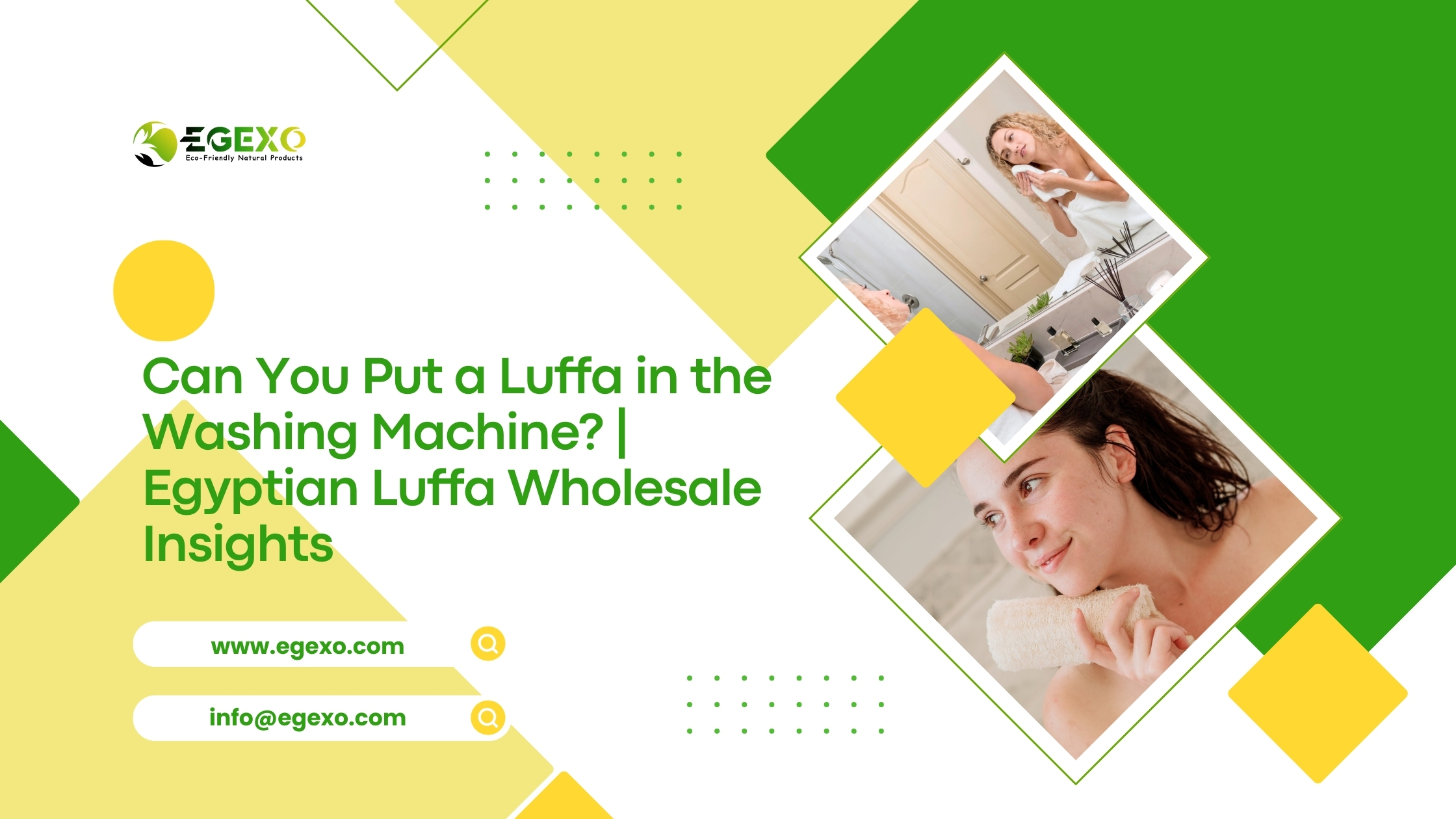 Egyptian Luffa Wholesale Insights