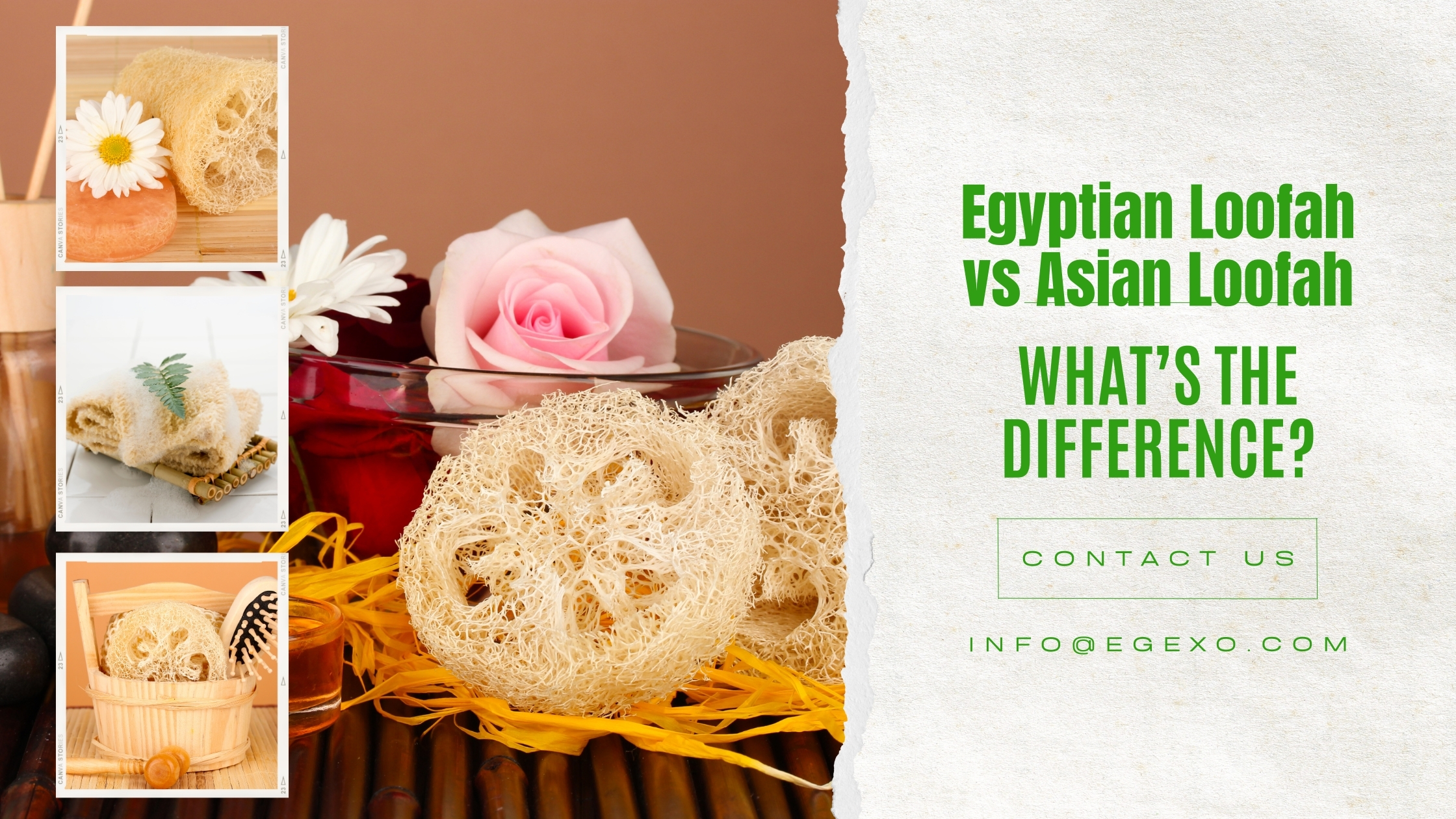 Egyptian Loofah vs Asian Loofah