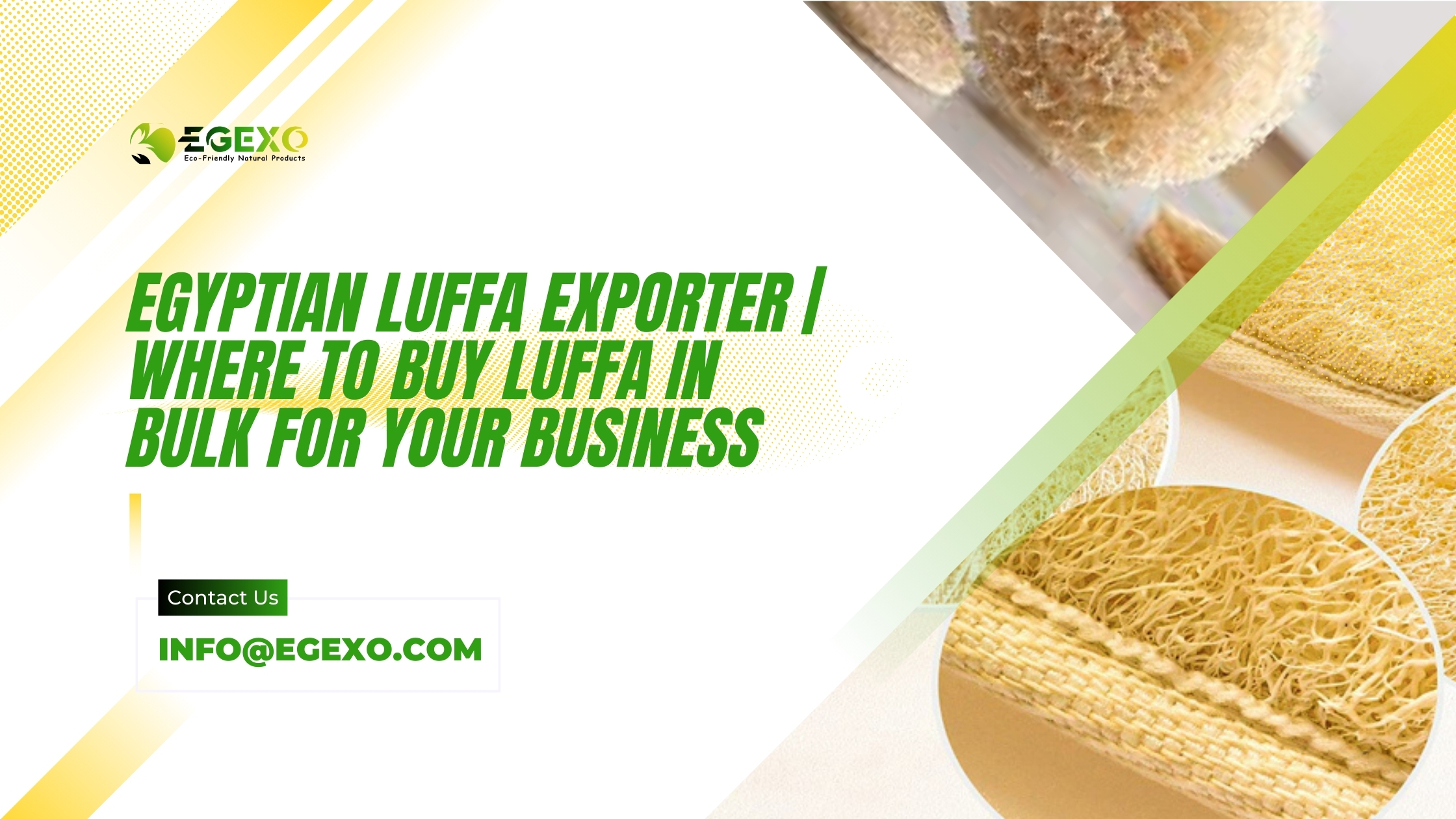 Egyptian Luffa Exporter