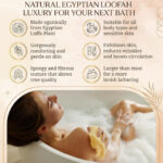 23Natural Raw Loofah Piece with Rope