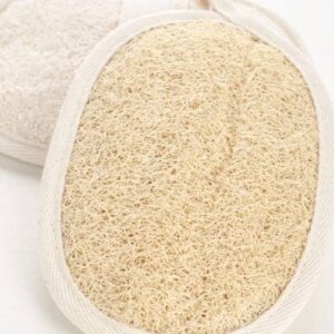 Oval Oasis Loofah of the Pharaohs