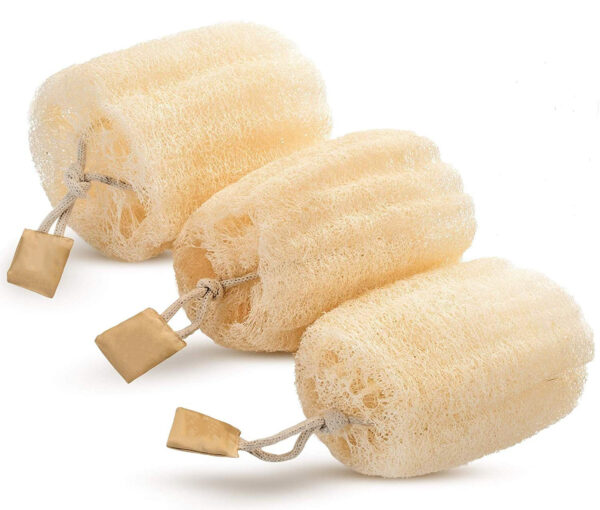 Natural Raw Loofah Piece with Rope - Image 2