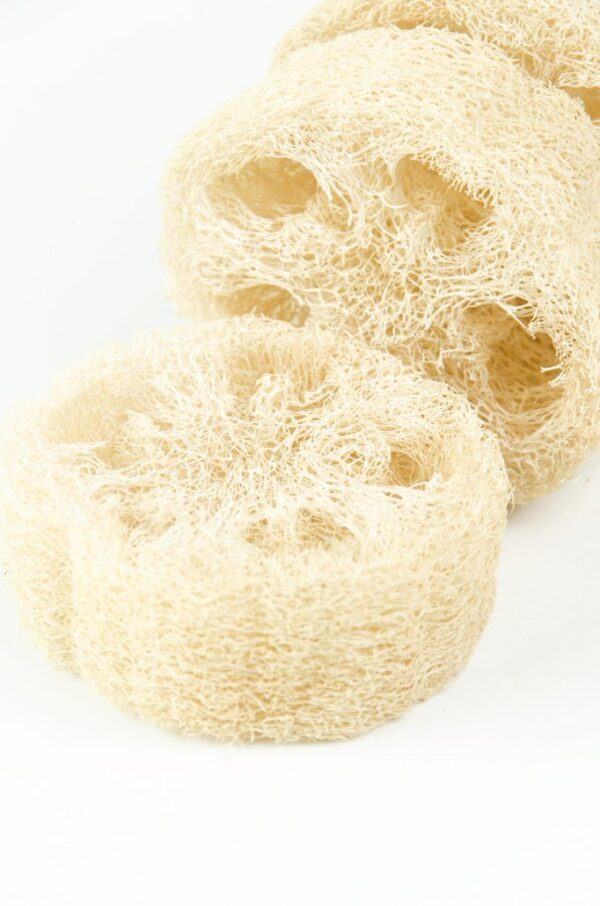 Natural Raw Loofah Ring - Image 3