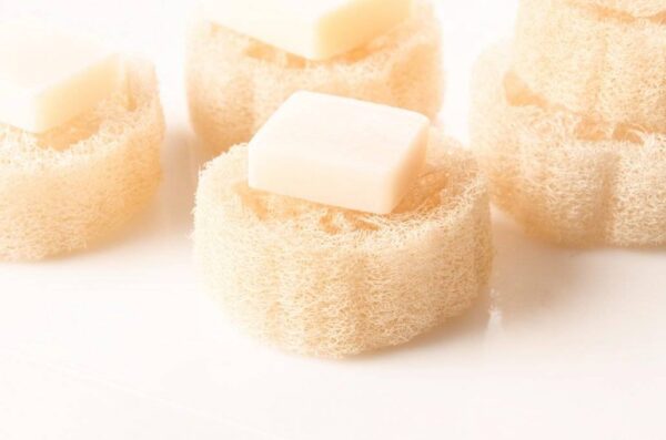 Natural Raw Loofah Ring