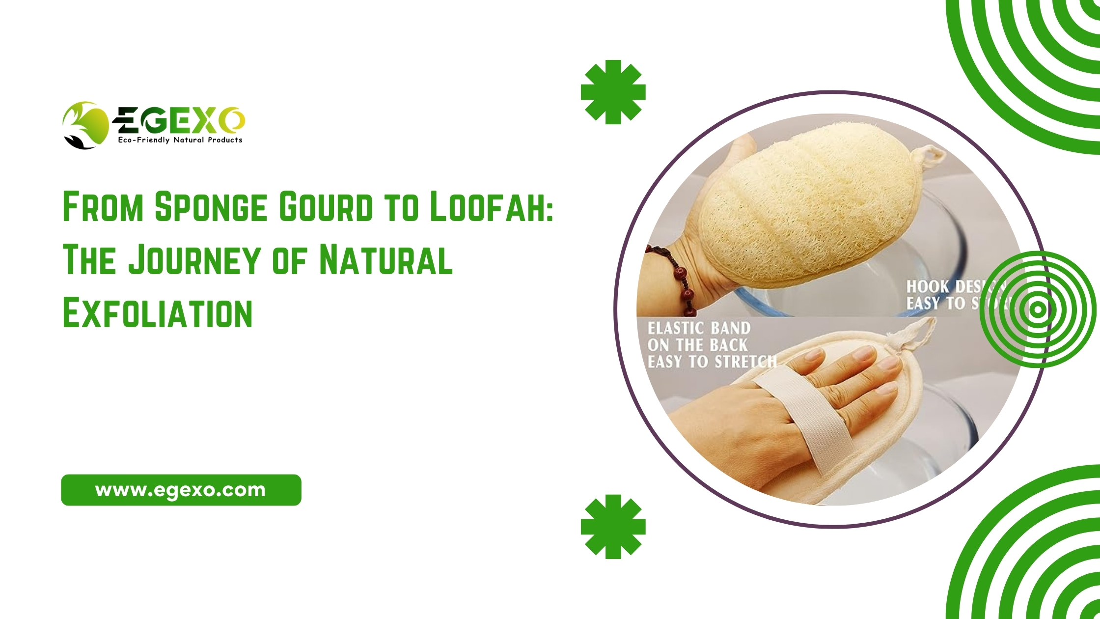 From Sponge Gourd to Loofah