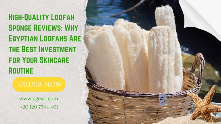 High-Quality Loofah Sponge