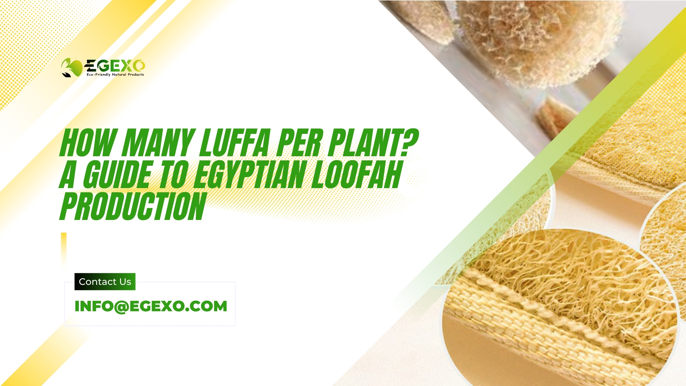 How Many Luffa Per Plant