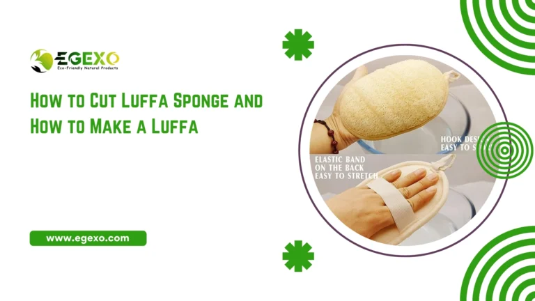 How to Cut Luffa Sponge
