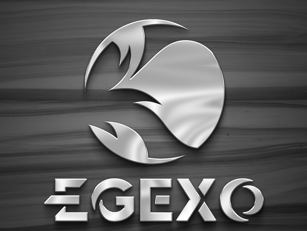 Why Choose EGEXO? Your Trusted Egyptian Loofah Partner