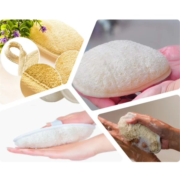 Natural Oval Body Loofah Sponge | Egyptian Exfoliating Bath Scrubber | EGEXO