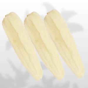 Natural Whole Raw Loofah Sponge1 Close-up of Egyptian loofah texture showing natural luffa sponge fiber detail