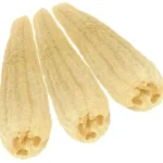Spugna di luffa naturale intera e cruda10