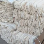 Spugna di luffa naturale intera e cruda12