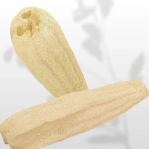Home page 14 Natural whole raw loofah sponge from Egypt displayed on white background showing fibrous texture