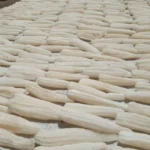 Spugna di luffa naturale intera e cruda5
