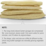 Spugna di luffa naturale intera e cruda7