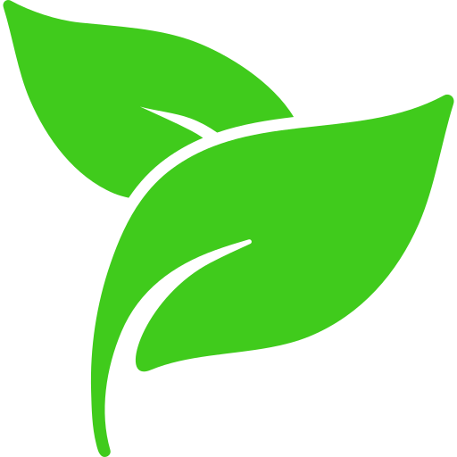 Home page 1 herbal spa treatment leaves 1