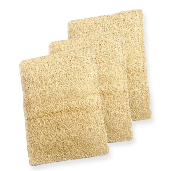 3 rectangle Natural Loofah Sponges - EGEXO