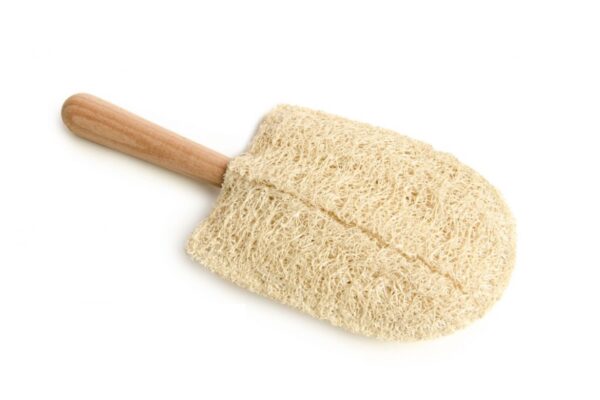 Double-Sided Pet Loofah Bathing Stick 13x17cm | Natural Grooming Wand | EGEXO