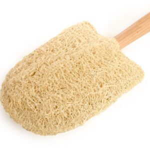 Home page 5 Double-Sided Loofah Stick 13x17cm | Natural Grooming Wand | EGEXO