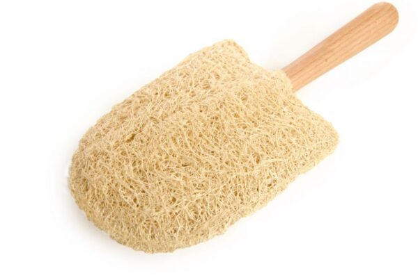 Double-Sided Pet Loofah Bathing Stick 13x17cm | Natural Grooming Wand | EGEXO