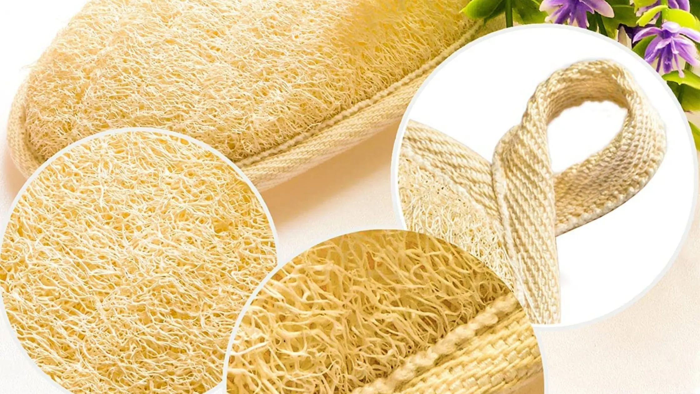 Sustainability & Eco-Friendliness 1 Natural Loofah Sponges Banner EGEXO