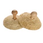 Pet Loofah Pot2, Round Handle Loofah Scrubber - Professional Grooming Tool