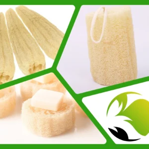 Raw Loofah Bulk Supplier Egypt | Unprocessed Natural Luffa | EGEXO Wholesale