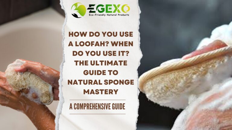 Natural Egyptian loofah sponges displayed showing different textures and sizes for body care, kitchen cleaning, and commercial use
