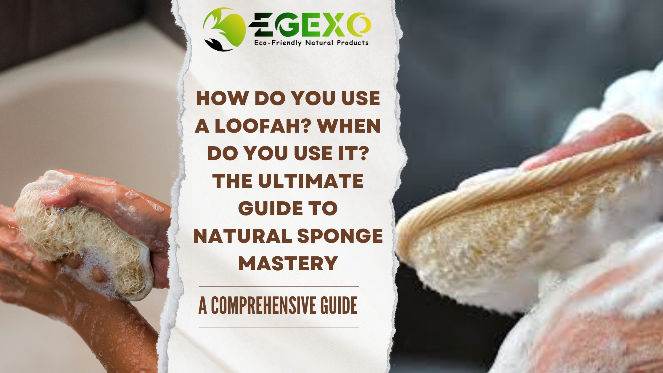 Natural Egyptian loofah sponges displayed showing different textures and sizes for body care, kitchen cleaning, and commercial use