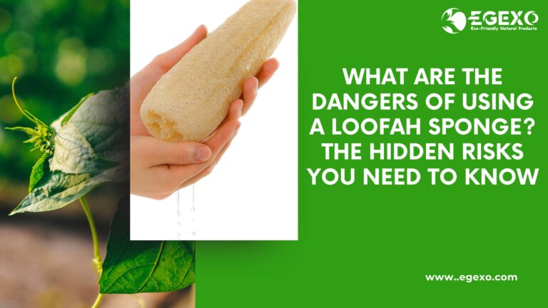 Natural loofah sponge showing bacterial growth risks and safety concerns for skin health