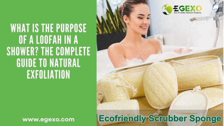 Natural Egyptian loofah sponge hanging in modern shower demonstrating proper bathroom skincare routine and exfoliation benefits