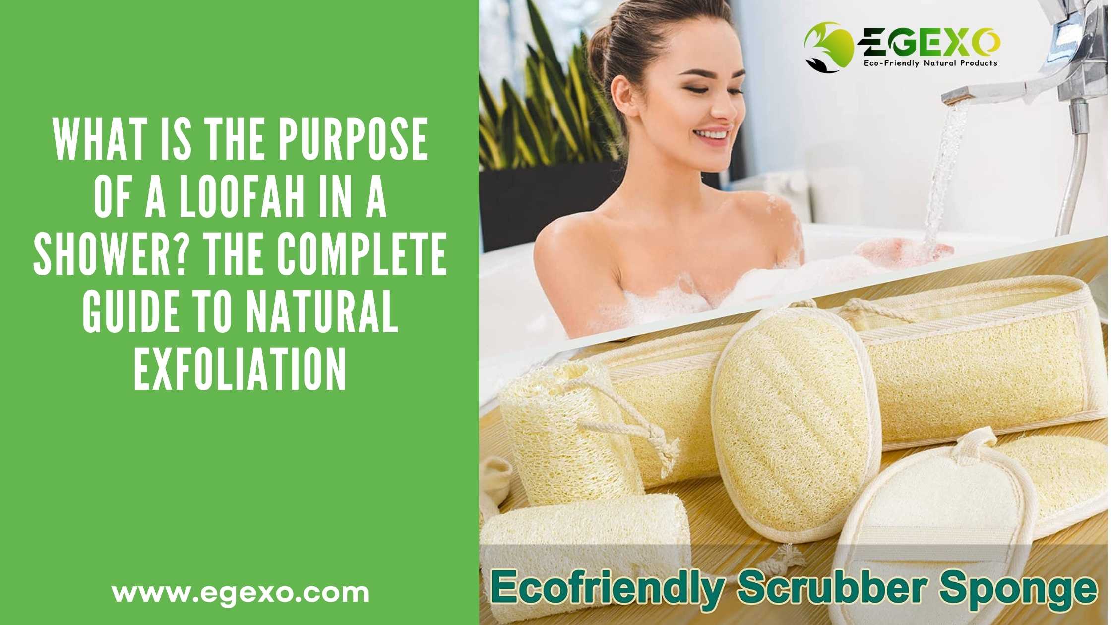 Natural Egyptian loofah sponge hanging in modern shower demonstrating proper bathroom skincare routine and exfoliation benefits