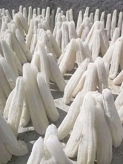 Loofah Wholesale: The Complete Guide to Launching Your Profitable Natural Sponge Business in 2025
