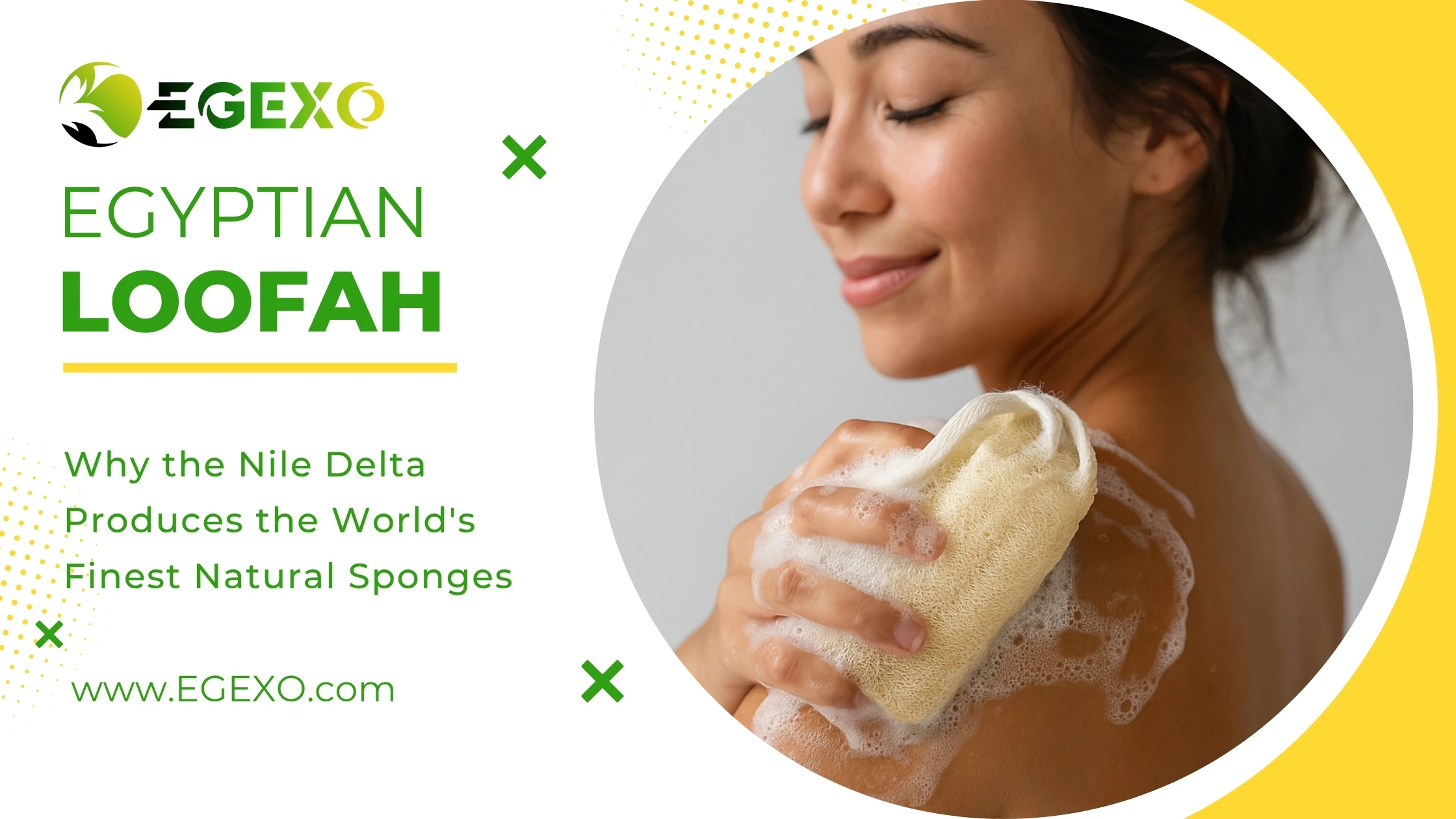Premium Egyptian loofah sponges showing natural fiber texture and density from Nile Delta cultivation