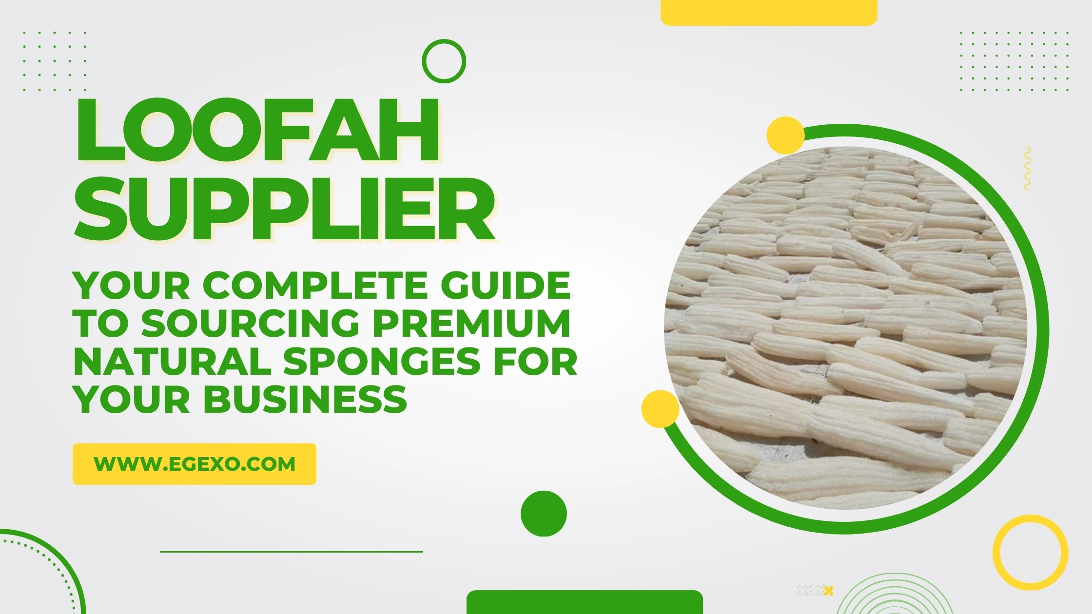 Wholesale loofah supplier product range for retailers and distributors