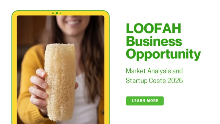 Loofah Business Opportunity Market Analysis and Startup Costs 2025