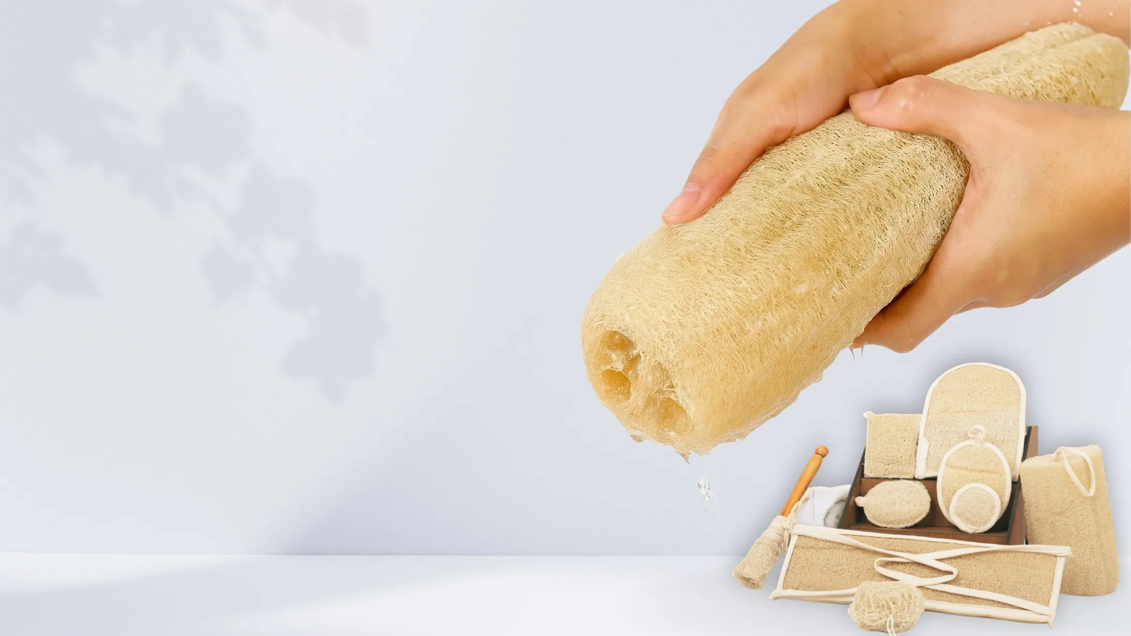 Home v2 (draft) 1 Hands squeezing a raw loofah, with a set of EGEXO loofah products