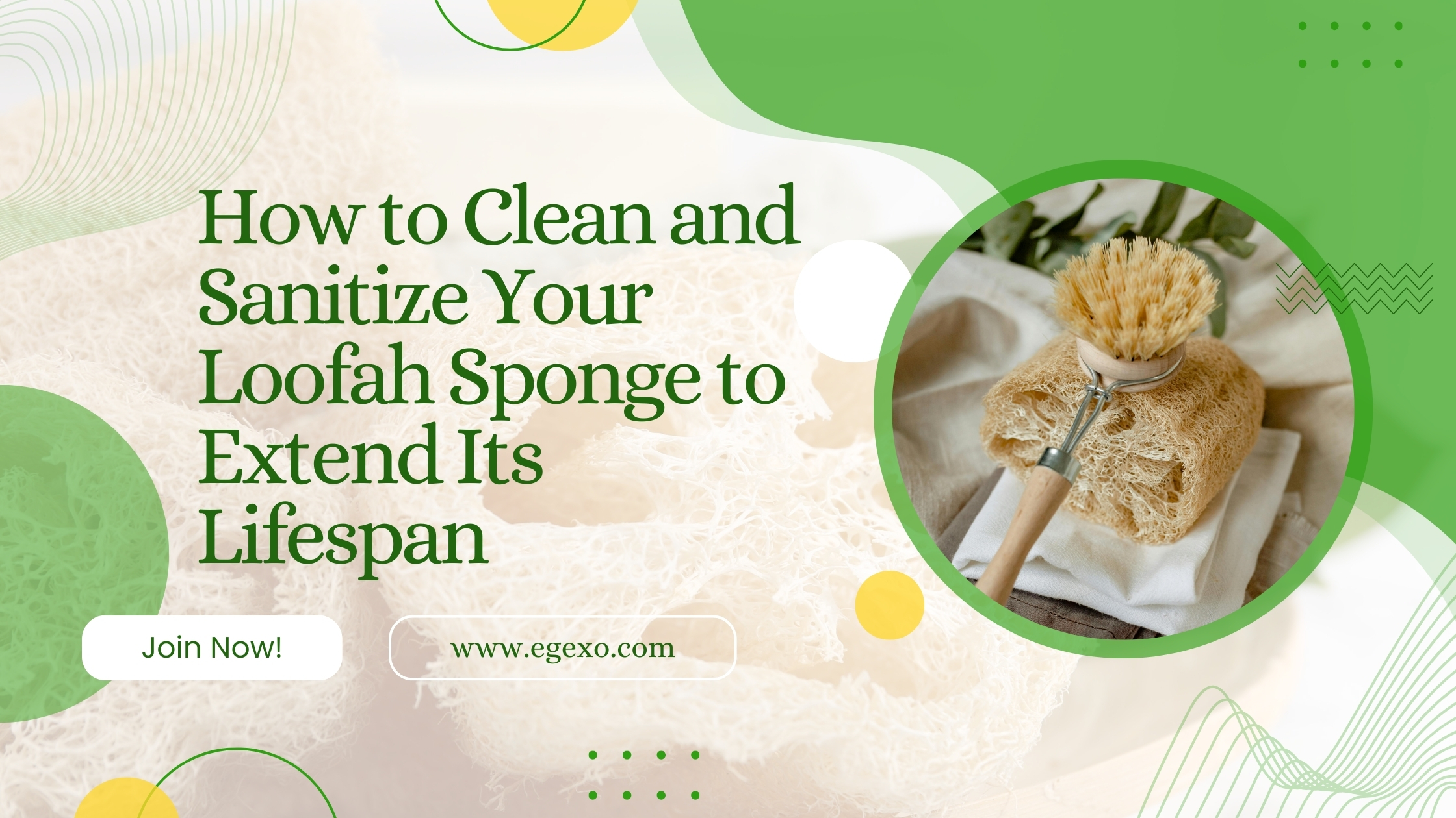 How to Clean and Sanitize Your Loofah Sponge | 2025 Guide | Egexo
