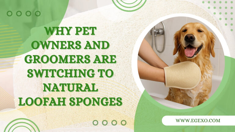 Loofah Sponges for Dog Bathing | Natural Pet Grooming Guide | Egexo