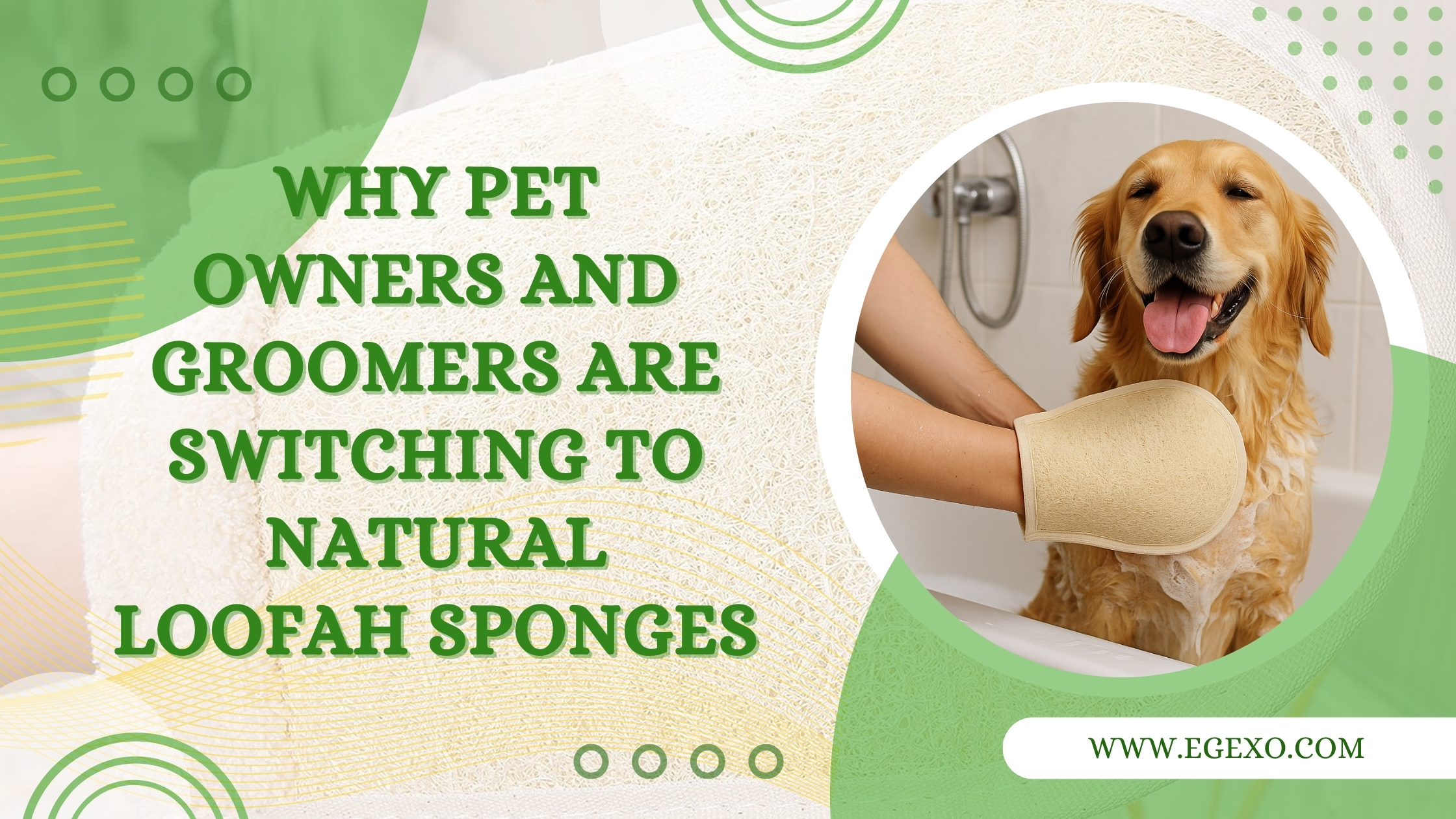 Loofah Sponges for Dog Bathing | Natural Pet Grooming Guide | Egexo